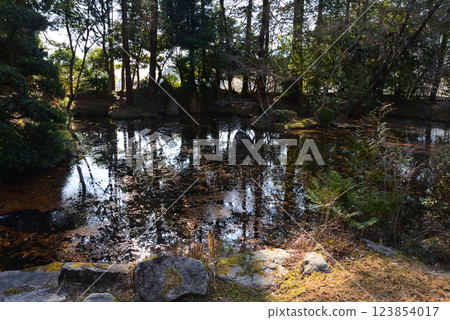Itajikiyama Daikakuji Temple #78 123854017