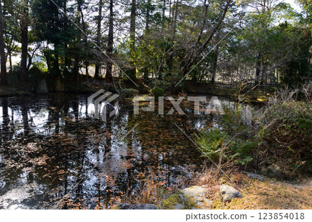 Itajikiyama Daikakuji Temple #79 Itajikiyama Daikakuji Temple #79 123854018