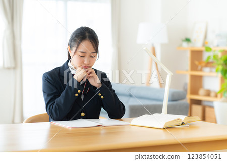 High school girl studying at home High school girl studying at home 123854051