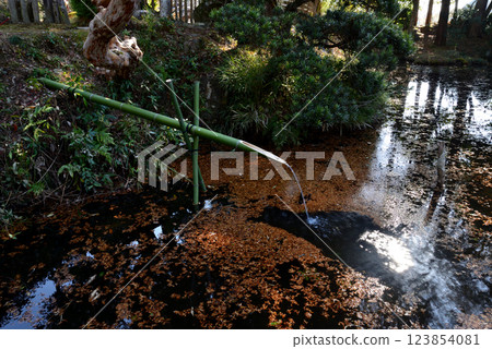 板敷山大覺寺 #82 123854081