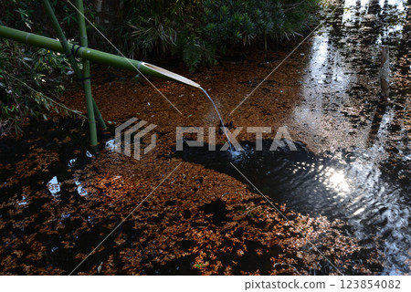 Itajikiyama Daikakuji Temple #83 123854082