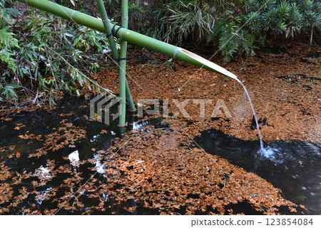 Itajikiyama Daikakuji Temple #85 123854084