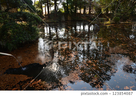 Itajikiyama Daikakuji Temple #88 123854087