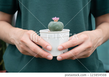 Woman holding a pot of Lophophora williamsii cactus (or Peyote) with twin pink flowers blooming. Woman holding a pot of Lophophora williamsii cactus (or Peyote) with twin pink flowers blooming. 123854508