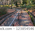 A staircase covered with fallen leaves and sunlight streaming in 123854546
