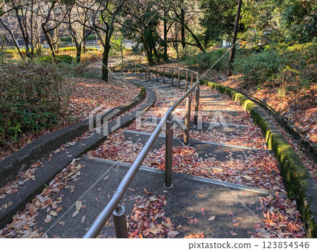 A staircase covered with fallen leaves and sunlight streaming in A staircase covered with fallen leaves and sunlight streaming in 123854546