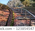 Sunlight shines through the stairs covered with fallen leaves 123854547
