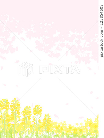 櫻花和油菜花田的柔和輪廓 櫻花和油菜花田的柔和輪廓 123854605