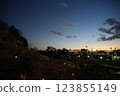 早春池上梅園 早春池上梅園 123855149
