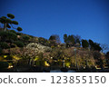 早春池上梅園 早春池上梅園 123855150