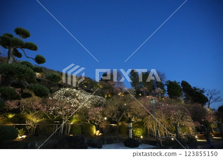 早春池上梅園 早春池上梅園 123855150