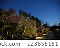 早春池上梅園 早春池上梅園 123855151