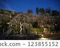 早春池上梅園 早春池上梅園 123855152