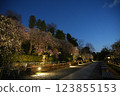 早春池上梅園 早春池上梅園 123855153