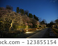 早春池上梅園 早春池上梅園 123855154