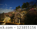 早春池上梅園 早春池上梅園 123855156
