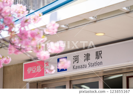 河津站 車站大樓 河津櫻花節 河津櫻花盛開的車站週邊 123855167