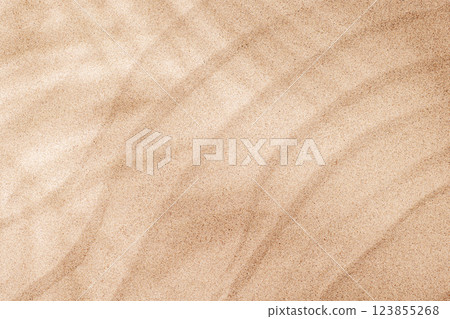 A tropical summer background featuring soft beach sand with delicate palm leaf shadows A tropical summer background featuring soft beach sand with delicate palm leaf shadows 123855268