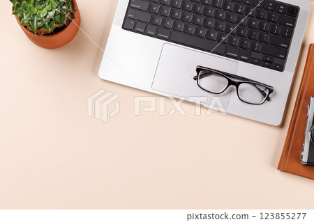 A clean and minimal desk setup featuring a laptop and plant 123855277