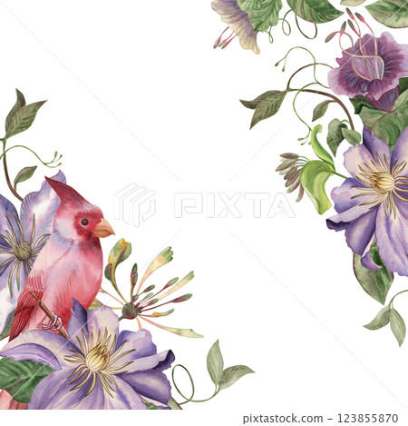 Watercolor frame with bright purple clematis flowers, lush green climbing vines and red cardinal bird. Hand drawn illustration for botanical design, postcards, wedding invitations in vintage style. Watercolor frame with bright purple clematis flowers, lush green climbing vines and red cardinal bird. Hand drawn illustration for botanical design, postcards, wedding invitations in vintage style. 123855870