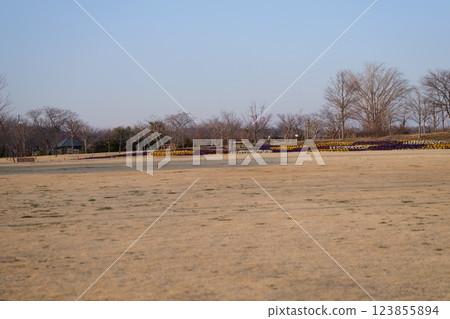 Cityscape at dusk 123855894