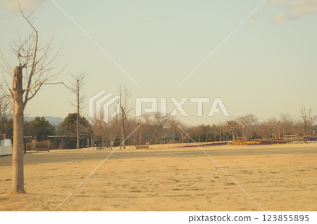Cityscape at dusk 123855895