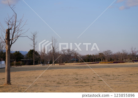 Cityscape at dusk 123855896