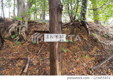 Tsuchimaru Castle Ruins (Okuyama Ameyama Nature Park) 123855972