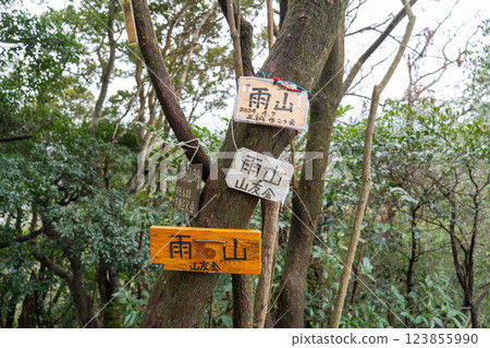 Summit of Ameyama (Okuyama Ameyama Nature Park) Summit of Ameyama (Okuyama Ameyama Nature Park) 123855990