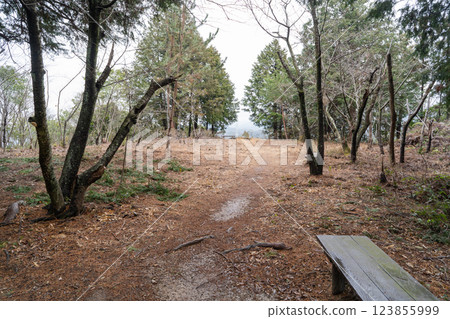 千疊敷遺跡(奧山雨山自然公園) 千疊敷遺跡(奧山雨山自然公園) 123855999