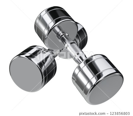 Two blank Round Dumbbells, chrome weightlifting gym equipment top view 123856803