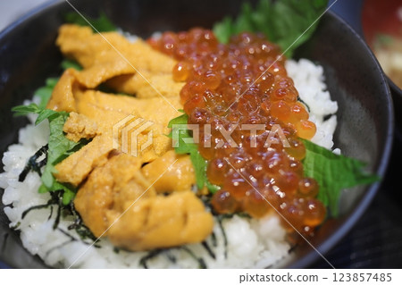 海膽丼 海膽丼 123857485