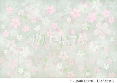 Chic cherry blossom background 123857509