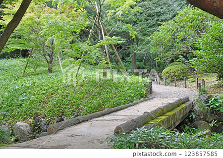 garden surrounded by greenery 123857585