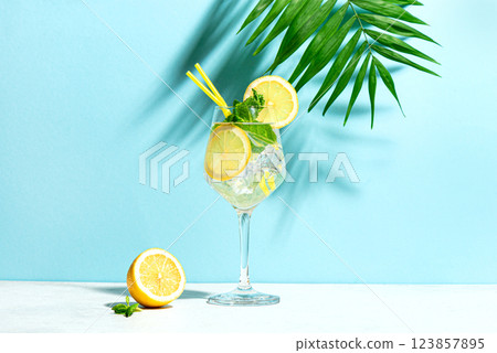 Glass of summer spritz cocktail with mint and lemon Glass of summer spritz cocktail with mint and lemon 123857895
