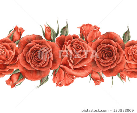 Border of red bright velvet roses with buds. Watercolor seamless border hand drawn in vintage style, suitable for banners, invitations, packaging, design for weddings, Valentine's Day, anniversary 123858009