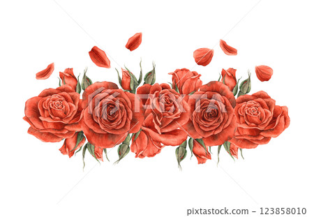 Composition of red bright roses with petals. Watercolor illustration hand-drawn in a realistic style, suitable for the design of banners, invitations, packaging, weddings, Valentine's Day, anniversary 123858010