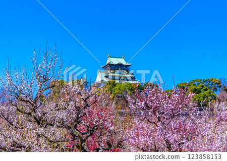 Osaka Castle and Bairin 123858153