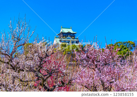 Osaka Castle and Bairin Osaka Castle and Bairin 123858155