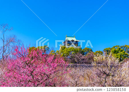 大阪城和Bairin 大阪城和Bairin 123858158