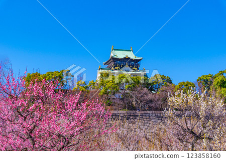 Osaka Castle and Bairin Osaka Castle and Bairin 123858160