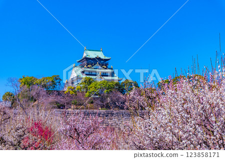 Osaka Castle and Bairin 123858171
