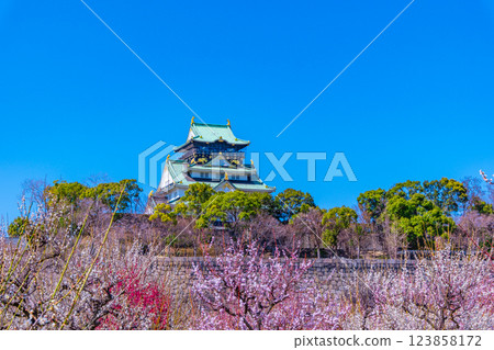 Osaka Castle and Bairin 123858172