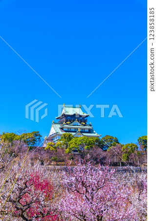 Osaka Castle and Bairin Osaka Castle and Bairin 123858185