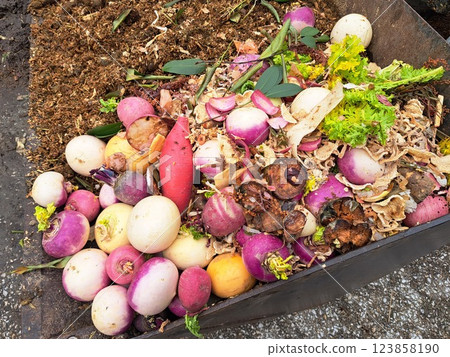 Discarded vegetables 123858190
