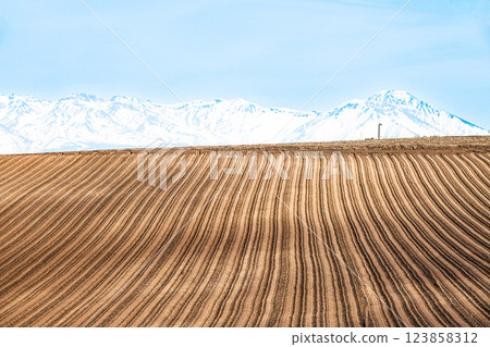 A refreshing scene in Biei, Hokkaido, when spring plowing begins in May. 123858312