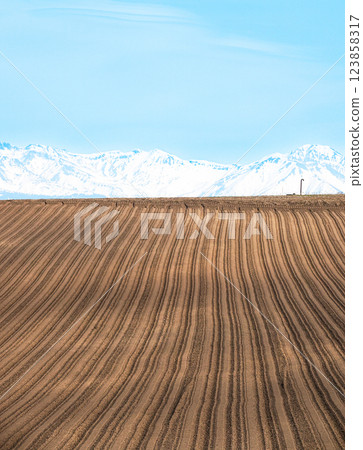 A refreshing scene in Biei, Hokkaido, when spring plowing begins in May. 123858317
