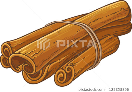 Cinnamon Sticks Colored Detailed Illustration Cinnamon Sticks Colored Detailed Illustration 123858896