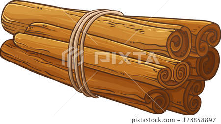 Cinnamon Sticks Colored Detailed Illustration Cinnamon Sticks Colored Detailed Illustration 123858897