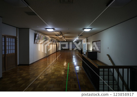 日本室內 123858917